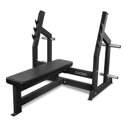 Скамья для жима горизонтальная BRONZE GYM BG-AL-304 Скамья для жима горизонтальная BRONZE GYM BG-AL-304