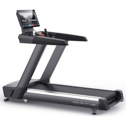 Беговая дорожка профессиональная BRONZE GYM T1000M PRO TFT TURBO