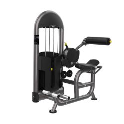 Тренажер Разгибатель спины FITEX PRO FTX-6217