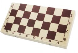 Игра 2 в 1 (шашки, шахматы с деревянными фигурами)