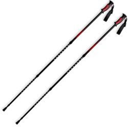 Палки для скандинавской ходьбы SPINE SL-29-3-135 (Алюминий) 100-135 см