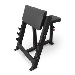 Скамья Скотта BRONZE GYM BG-AL-303