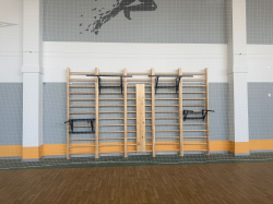 Брусья навесные (на шведскую стенку) СТ-27