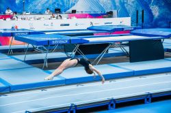 Акробатическая фиберглассовая дорожка 25,2 м (только рабочая часть)