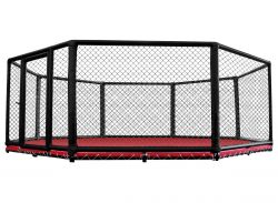 Восьмиугольный ринг ММА напольный D=7 м (без помоста)