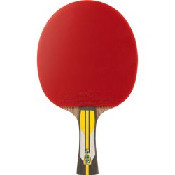 Ракетка для настольного тенниса DOUBLE FISH 6A+C (коническая ручка) ITTF Approved