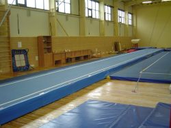 Пружинная акробатическая дорожка 25 м