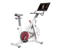 Велотренажер YESOUL BS3-W PRO PLUS 21.5 белый (дисплей 21.5")