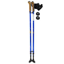 Палки для скандинавской ходьбы Ergo Nordic (110-140 см)