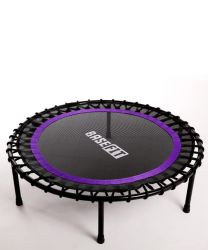 Батут BASEFIT TR-501 101 см (фиолетовый) Батут BASEFIT TR-501 101 см (фиолетовый)