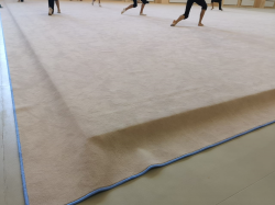 Покрытие ковра художественной гимнастики EVO 14х14 м