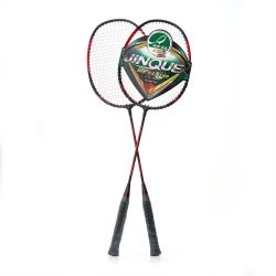 Набор для бадминтона DOUBLE FISH JINQUE 1301 (2 ракетки) Набор для бадминтона DOUBLE FISH JINQUE 1301 (2 ракетки)
