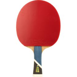 Ракетка для настольного тенниса DOUBLE FISH 5A+C (коническая ручка) ITTF Approved Ракетка для настольного тенниса DOUBLE FISH 5A+C (коническая ручка) ITTF Approved