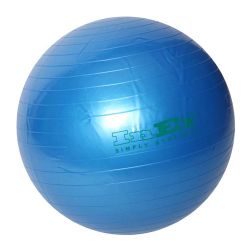 Гимнастический мяч INEX Swiss Ball 75 см