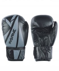 Перчатки боксерские INSANE ARES IN22-BG300 (кожа) 8 oz