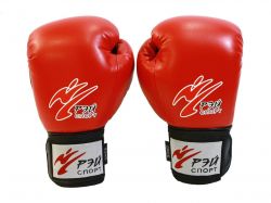 Перчатки боксерские ДЖЕБ (кожа)