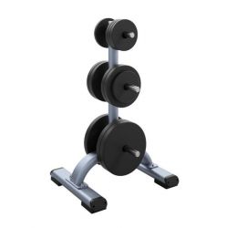 Стойка под диски PRECOR Discovery Line DBR 817