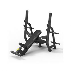 Олимпийская скамья для жима под углом SPIRIT SP-4210