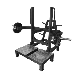 Приседание с поясом "Колодец" BRONZE GYM BGR-803 Приседание с поясом "Колодец" BRONZE GYM BGR-803