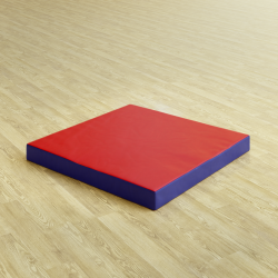 Мат гимнастический 1х0,5х0,1м СТАНДАРТ (иск. кожа) М100-1