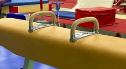 Ручки для коня гимнастического махового