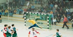 Гаситель для мини-футбольных/гандбольных ворот d=4 мм HASPO 924-011