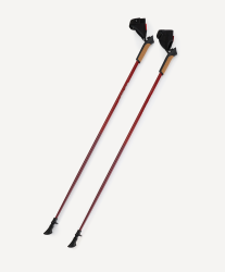Палки для скандинавской ходьбы BERGER Travel Forest 106 см (цельные)