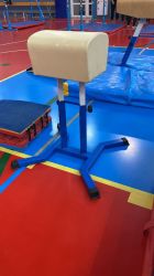 Козел гимнастический (нат. кожа) h=135 см