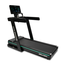 Беговая дорожка BRONZE GYM WALKWAY