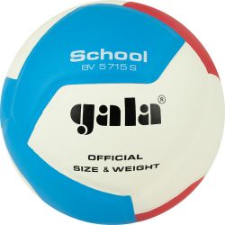 Мяч волейбольный GALA School 12" BV5715S №5 (ПУ) бело-красно-голубой Мяч волейбольный GALA School 12" BV5715S №5 (ПУ) бело-красно-голубой
