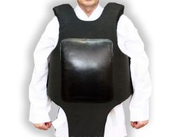 Жилет тренера для единоборств