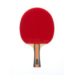 Ракетка для настольного тенниса DOUBLE FISH J9