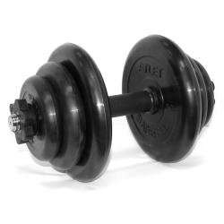 Гантель разборная 19 кг MB Barbell MB-FdbM-At19 Гантель разборная 19 кг MB Barbell MB-FdbM-At19
