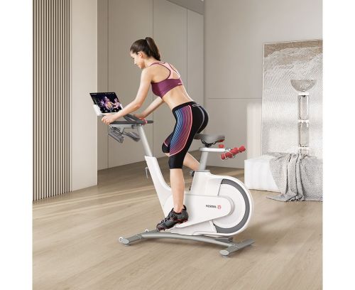 Велотренажер YESOUL Smart Spinning bike V1 (белый)#3 Велотренажер YESOUL Smart Spinning bike V1 (белый)#3