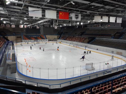 Хоккейный борт с малозаметными стойками (двойной)#5