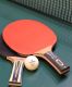 Ракетка для настольного тенниса DONIC Top Team 800#3