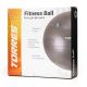 Мяч гимнастический TORRES 75 см (серый)#6