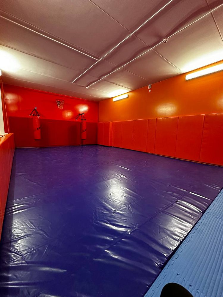 НОУ «Православный детский дом Павлин» НОУ «Православный детский дом Павлин»