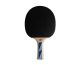 Ракетка для настольного тенниса DONIC LEGENDS 700#5