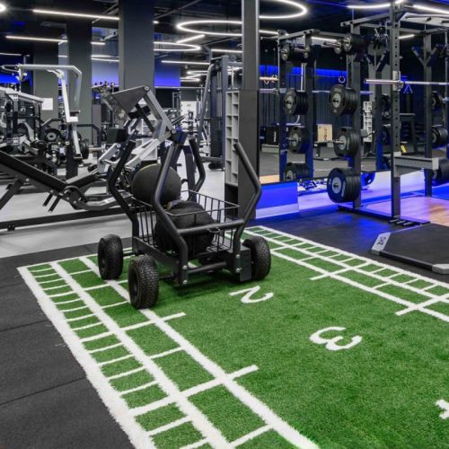 Сани-тележка для функционального тренинга ТАНГЕН#5