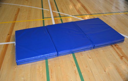 Мат гимнастический складной 2х1х0,1м ПРОФИ (иск. кожа, 3 сложения) МС100-8#8