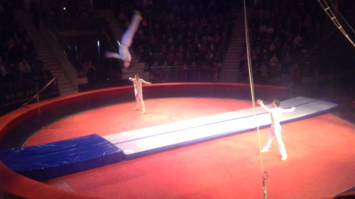 Надувная акробатическая дорожка "Sport" 300 мм#9