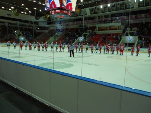 Хоккейный борт с защитным ограждением зрителей без стоек (двойной)#6