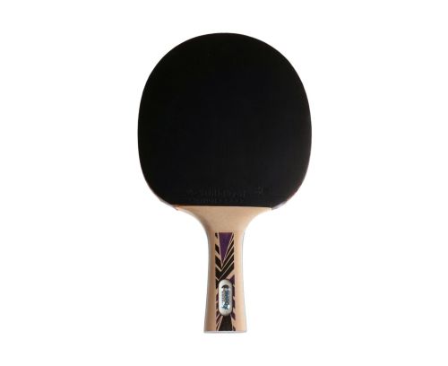 Ракетка для настольного тенниса DONIC LEGENDS 800#3