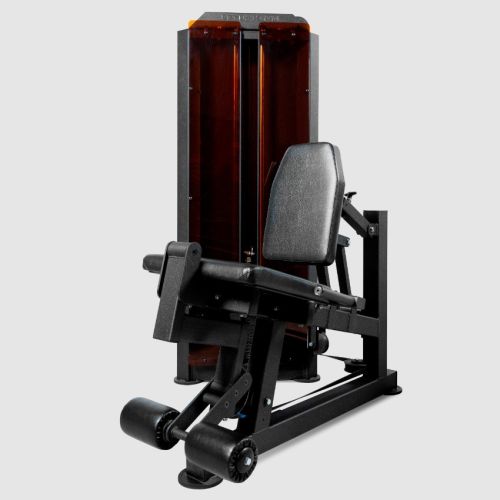 Тренажер Разгибание ног BRONZE GYM PARTNER ML-801