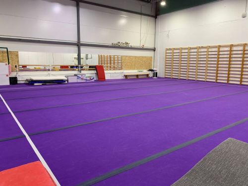 Ковер для спортивной гимнастики 14х14 м (40 мм)#4