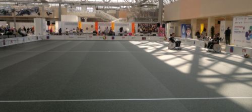 Резиновое покрытие Regupol Everline Classic#3 Резиновое покрытие Regupol Everline Classic#3