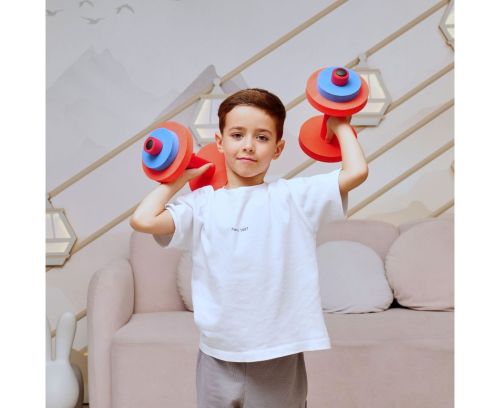 Гантели детские DFC VT-2009#6 Гантели детские DFC VT-2009#6