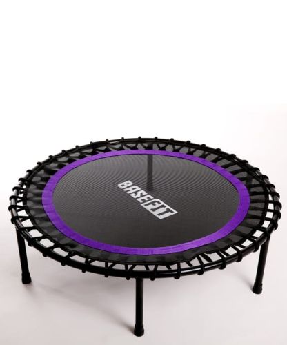 Батут BASEFIT TR-501 101 см (фиолетовый) Батут BASEFIT TR-501 101 см (фиолетовый)