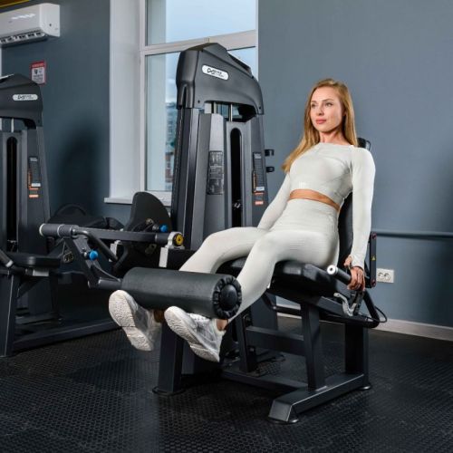 Тренажер Разгибание ног сидя DHZ U3002C-JZ (E3002)#4